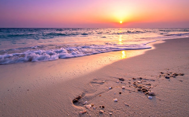夕暮れの砂浜の画像