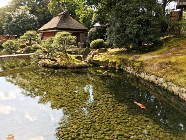 日本三名園のひとつをゆっくりと楽しめる「岡山後楽園」のイメージ