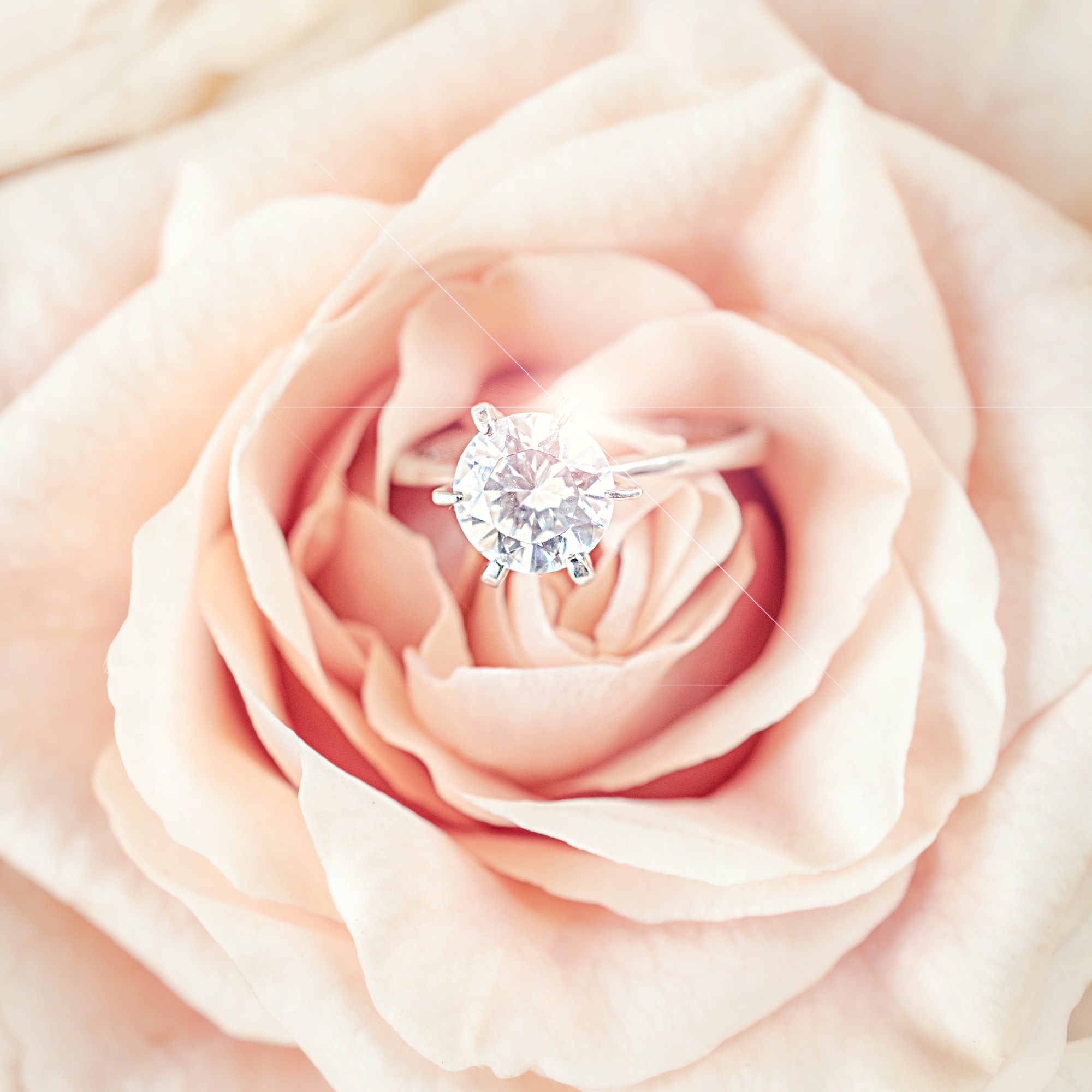 花束の中に指輪を隠してプロポーズのイメージ