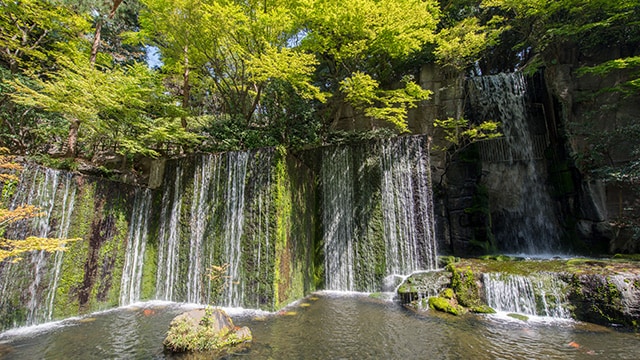 ホテル雅叙園東京のイメージ