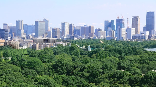 都会にある癒しスポットで楽しく過ごす、東京デートプロポーズプランのイメージ