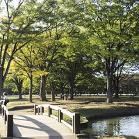 特別な日を盛り上げる！渋谷デートプロポーズプランのイメージ