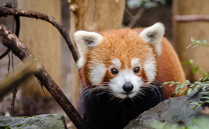 ふたりでたっぷり遊ぶ！静岡デートプロポーズプランのイメージ