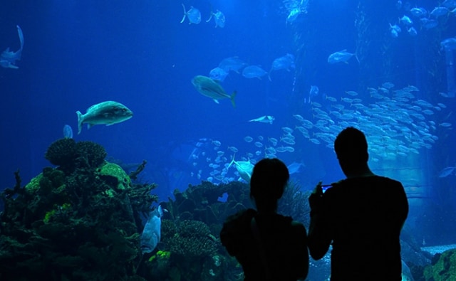 水族館