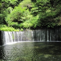 軽井沢の自然を満喫した1泊2日のデートプロポーズプランのイメージ