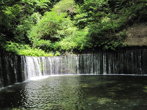 軽井沢の自然を満喫した1泊2日のデートプロポーズプランのイメージ