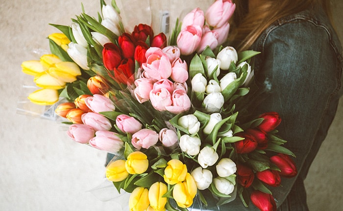 チューリップの花束で感動的なプロポーズを成功させよう！おすすめの色・本数・花言葉のイメージ